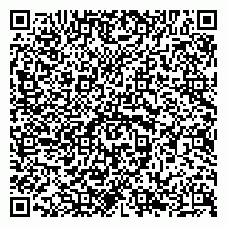 vCard 79294027331