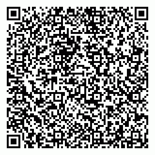 vCard 79294028010