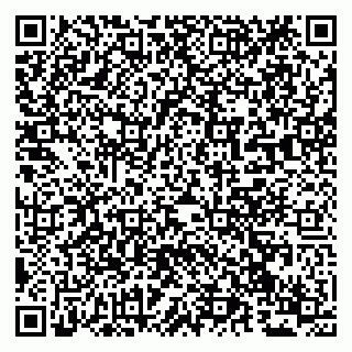 vCard 79294028063