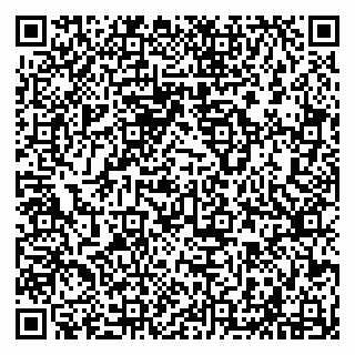 vCard 79294028074