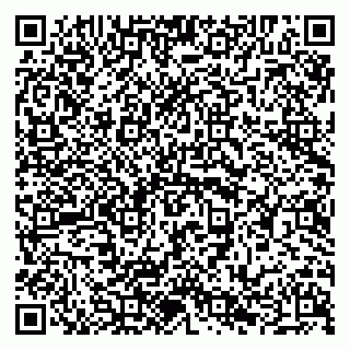 vCard 79294028335