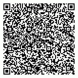 vCard 79294029073
