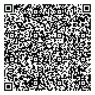 vCard 79294029093