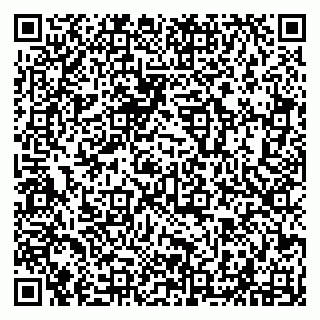 vCard 79294029629