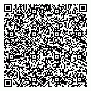 vCard 79294029933