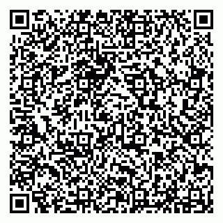 vCard 79294030002