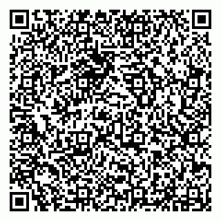 vCard 79294030133