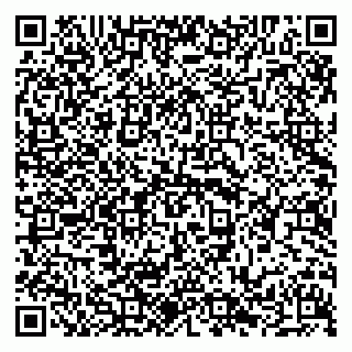 vCard 79294031709