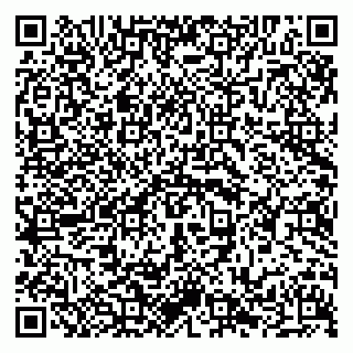 vCard 79294031745