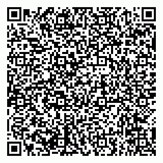 vCard 79294031806
