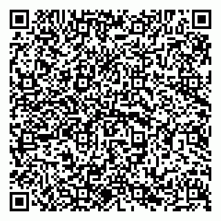 vCard 79294031815