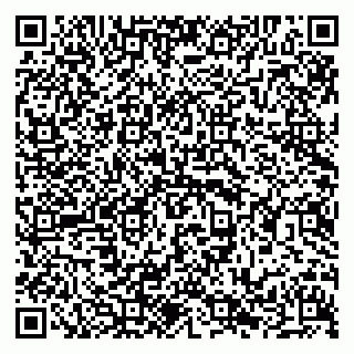 vCard 79294031853