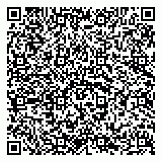 vCard 79294031874