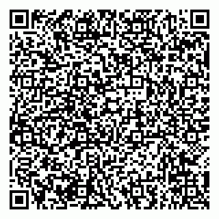 vCard 79294031883