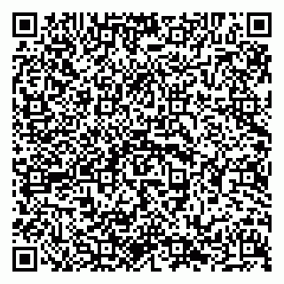 vCard 79294031889