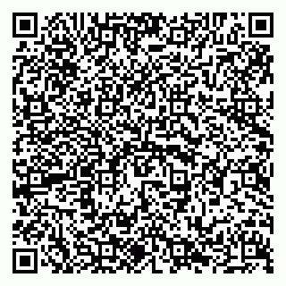 vCard 79294031935