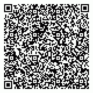 vCard 79294032001