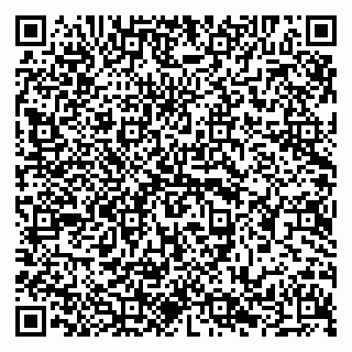 vCard 79294032003