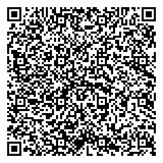 vCard 79294032015