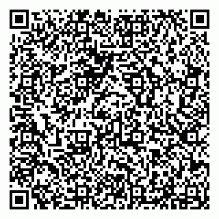 vCard 79294032311
