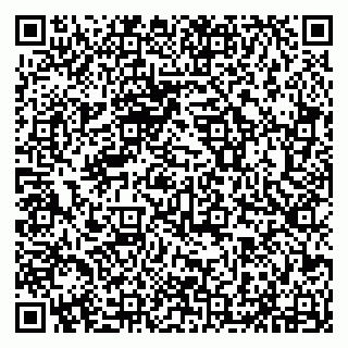 vCard 79294032317