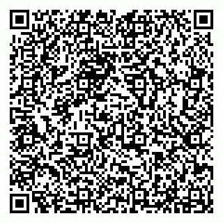 vCard 79294032359