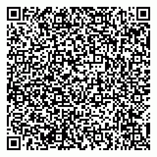 vCard 79294033103
