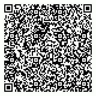vCard 79294033136