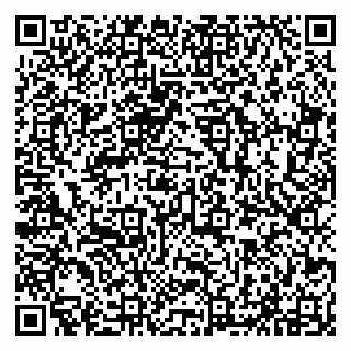 vCard 79294035489