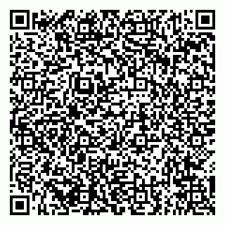 vCard 79294166405