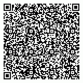 vCard 79294167503