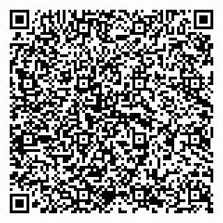vCard 79294168248