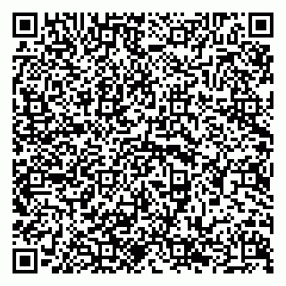 vCard 79294169603
