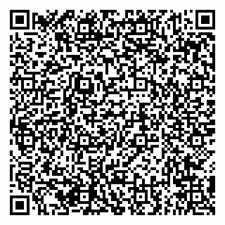 vCard 79294169785