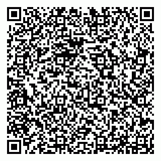 vCard 79294171306