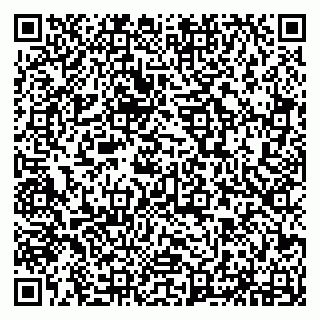 vCard 79294172002