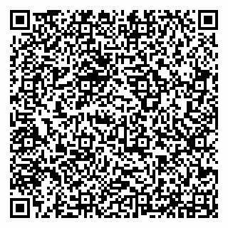 vCard 79294173136