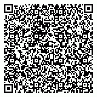 vCard 79294173232
