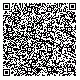 vCard 79294173291