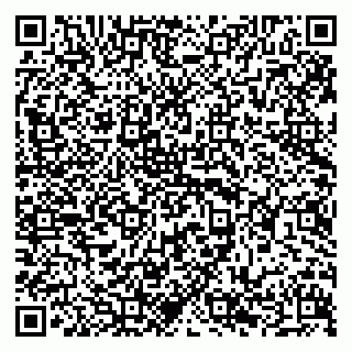 vCard 79294173992