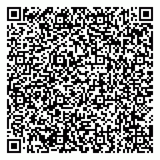 vCard 79294174131