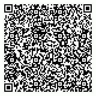 vCard 79294174147