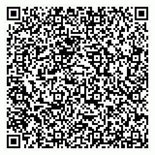 vCard 79294174201