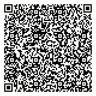 vCard 79294174331