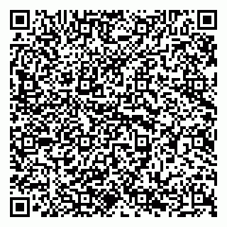 vCard 79294174335
