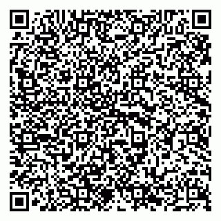 vCard 79294175131