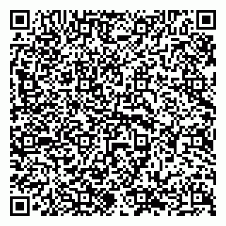 vCard 79294175489