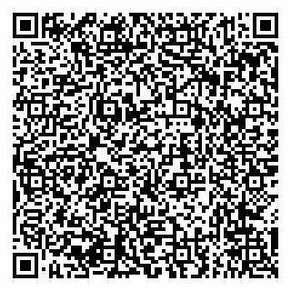 vCard 79294176239