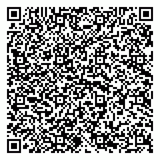 vCard 79294176303