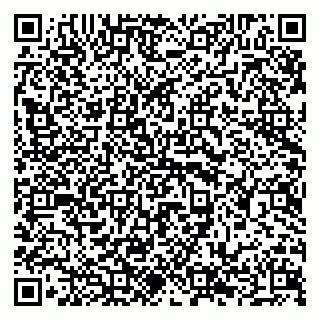 vCard 79294177635